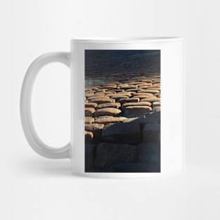 St Louis Cobbles Mug